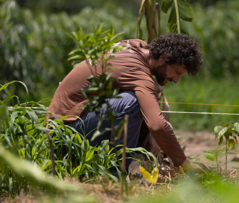 pessoa-plantando-semente